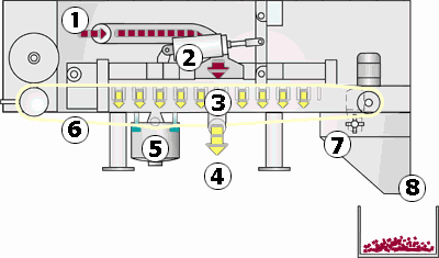 4.gif